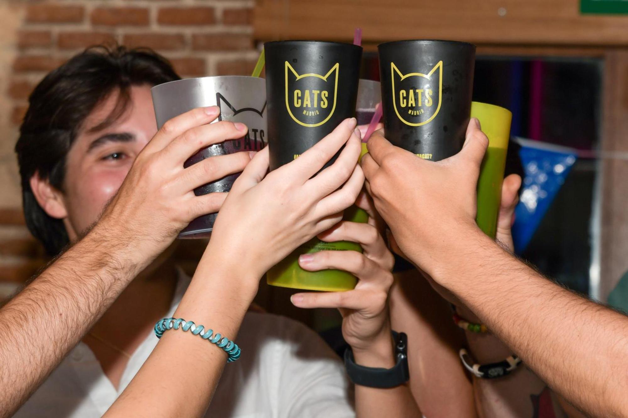 Cats Hostel Madrid Sol — Photos 1